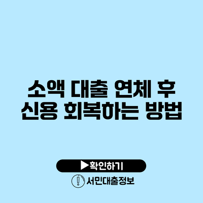 소액 대출 연체 후 신용 회복하는 방법