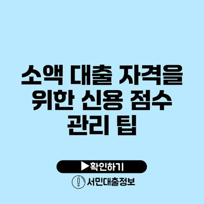 소액 대출 자격을 위한 신용 점수 관리 팁