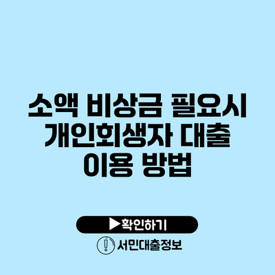 소액 비상금 필요시 개인회생자 대출 이용 방법