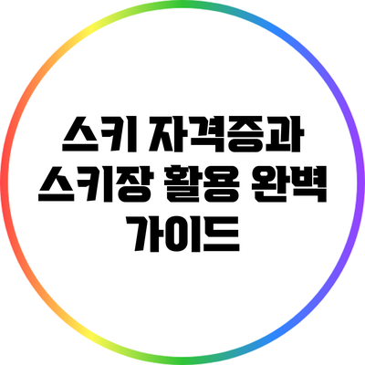 스키 자격증과 스키장 활용 완벽 가이드