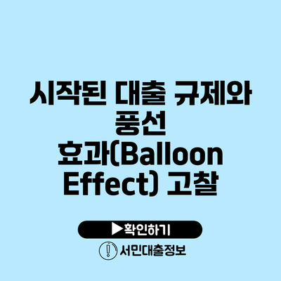 시작된 대출 규제와 풍선 효과(Balloon Effect) 고찰