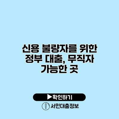 신용 불량자를 위한 정부 대출, 무직자 가능한 곳