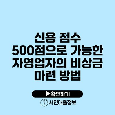 신용 점수 500점으로 가능한 자영업자의 비상금 마련 방법