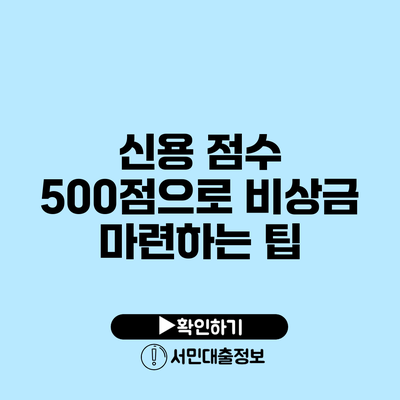 신용 점수 500점으로 비상금 마련하는 팁
