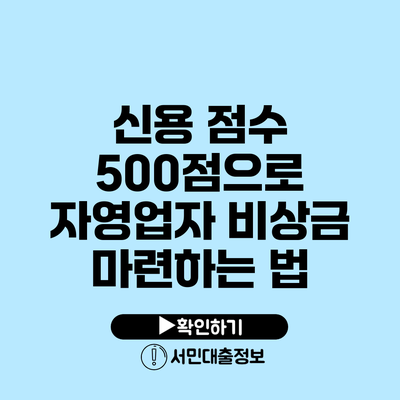 신용 점수 500점으로 자영업자 비상금 마련하는 법