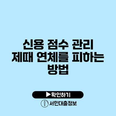 신용 점수 관리: 제때 연체를 피하는 방법