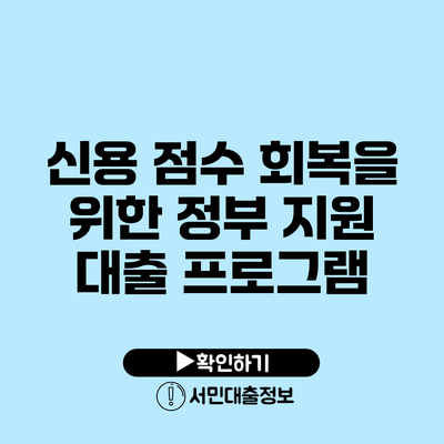 신용 점수 회복을 위한 정부 지원 대출 프로그램