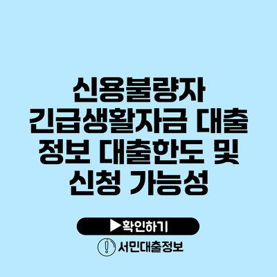 신용불량자 긴급생활자금 대출 정보: 대출한도 및 신청 가능성