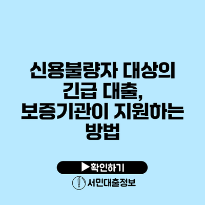 신용불량자 대상의 긴급 대출, 보증기관이 지원하는 방법