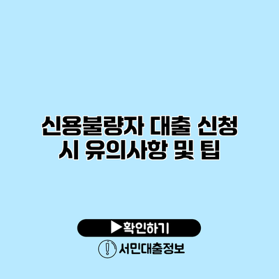신용불량자 대출 신청 시 유의사항 및 팁