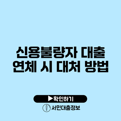 신용불량자 대출 연체 시 대처 방법