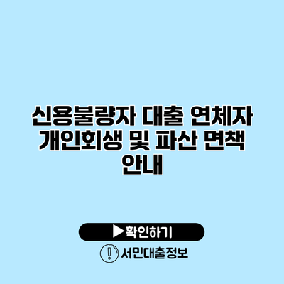 신용불량자 대출 연체자 개인회생 및 파산 면책 안내
