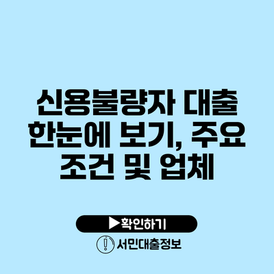 신용불량자 대출 한눈에 보기, 주요 조건 및 업체