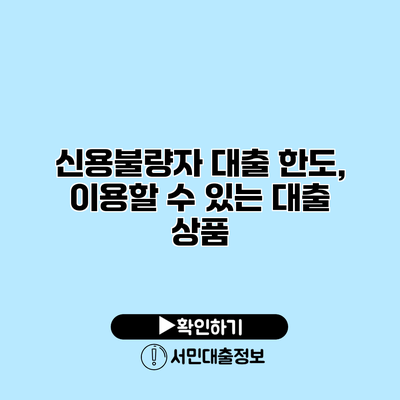신용불량자 대출 한도, 이용할 수 있는 대출 상품