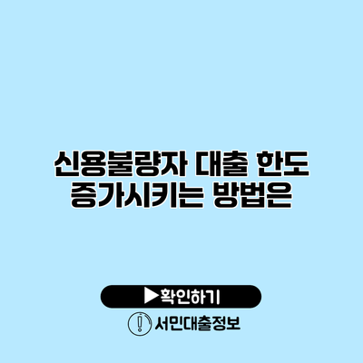 신용불량자 대출 한도 증가시키는 방법은?