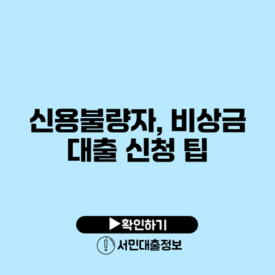 신용불량자, 비상금 대출 신청 팁