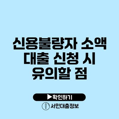 신용불량자 소액 대출 신청 시 유의할 점