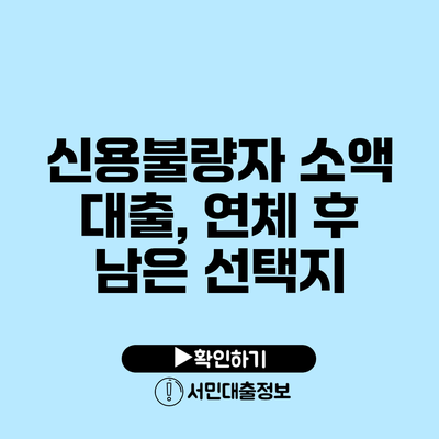 신용불량자 소액 대출, 연체 후 남은 선택지