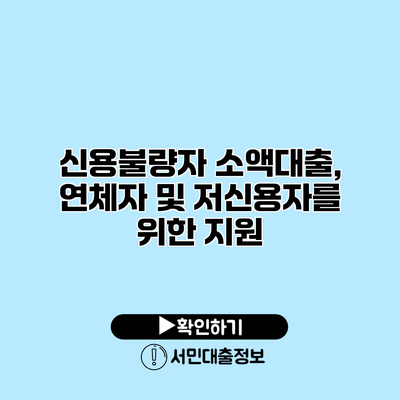 신용불량자 소액대출, 연체자 및 저신용자를 위한 지원