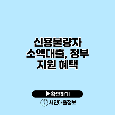 신용불량자 소액대출, 정부 지원 혜택