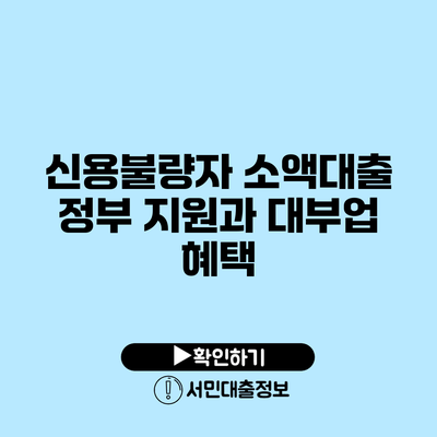 신용불량자 소액대출: 정부 지원과 대부업 혜택