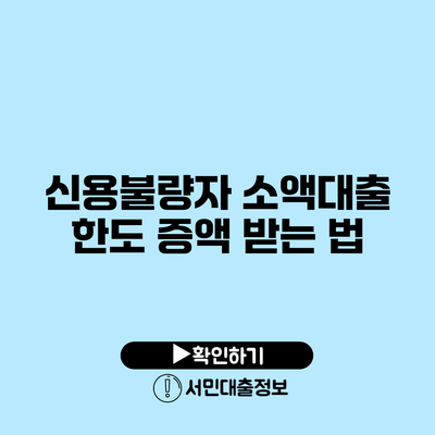 신용불량자 소액대출 한도 증액 받는 법