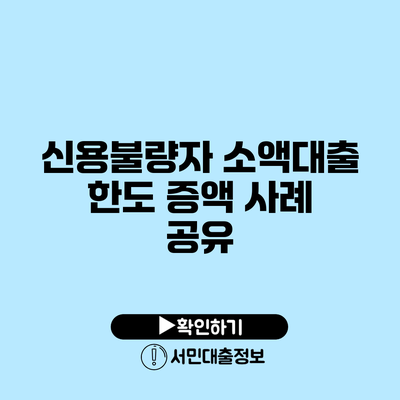 신용불량자 소액대출 한도 증액 사례 공유
