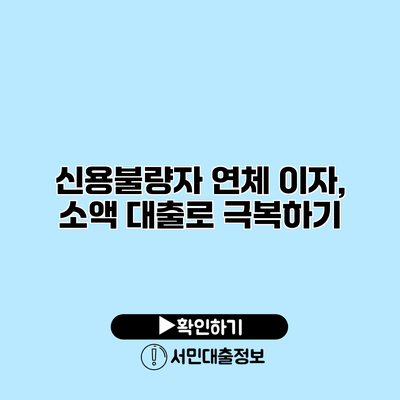 신용불량자 연체 이자, 소액 대출로 극복하기
