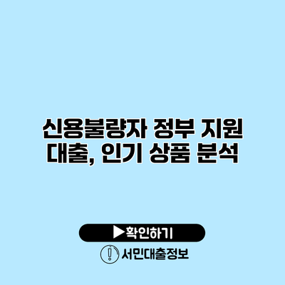 신용불량자 정부 지원 대출, 인기 상품 분석