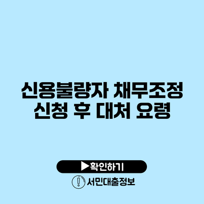 신용불량자 채무조정 신청 후 대처 요령