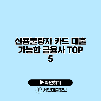 신용불량자 카드 대출 가능한 금융사 TOP 5