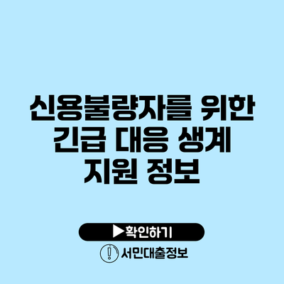 신용불량자를 위한 긴급 대응 생계 지원 정보