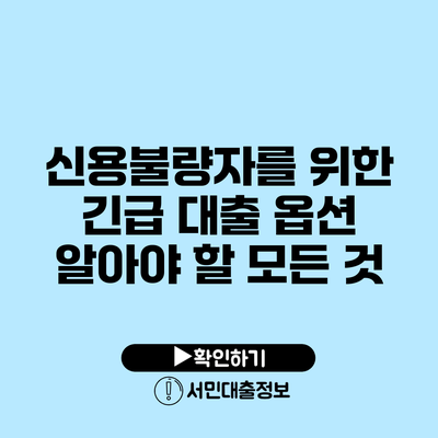 신용불량자를 위한 긴급 대출 옵션: 알아야 할 모든 것