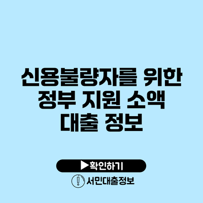 신용불량자를 위한 정부 지원 소액 대출 정보
