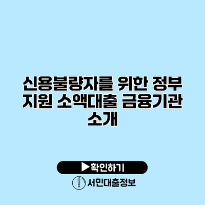 신용불량자를 위한 정부 지원 소액대출 금융기관 소개