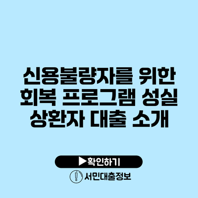 신용불량자를 위한 회복 프로그램: 성실 상환자 대출 소개