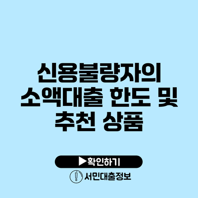 신용불량자의 소액대출 한도 및 추천 상품
