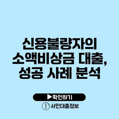 신용불량자의 소액비상금 대출, 성공 사례 분석