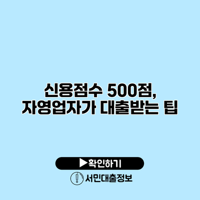 신용점수 500점, 자영업자가 대출받는 팁