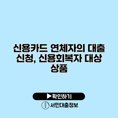 신용카드 연체자의 대출 신청, 신용회복자 대상 상품