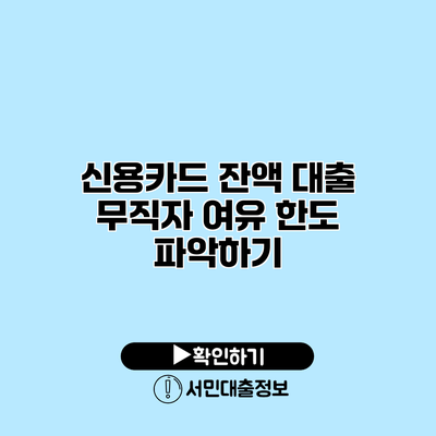 신용카드 잔액 대출 무직자 여유 한도 파악하기