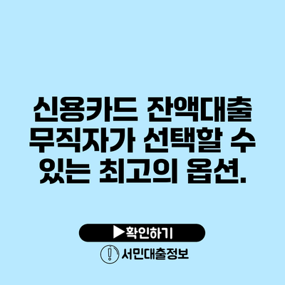 신용카드 잔액대출: 무직자가 선택할 수 있는 최고의 옵션.
