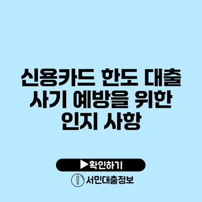 신용카드 한도 대출 사기 예방을 위한 인지 사항