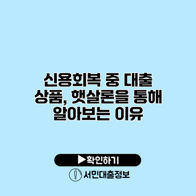 신용회복 중 대출 상품, 햇살론을 통해 알아보는 이유