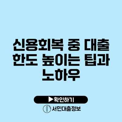 신용회복 중 대출 한도 높이는 팁과 노하우