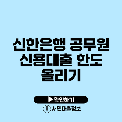 신한은행 공무원 신용대출 한도 올리기