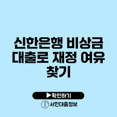 신한은행 비상금 대출로 재정 여유 찾기