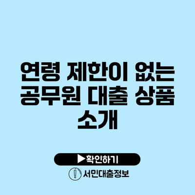 연령 제한이 없는 공무원 대출 상품 소개