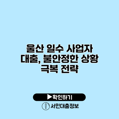 울산 일수 사업자 대출, 불안정한 상황 극복 전략