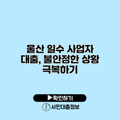 울산 일수 사업자 대출, 불안정한 상황 극복하기
